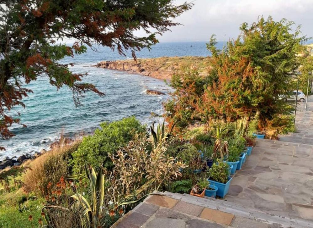 Ca' Maraisci, Incantevole Appartamento Vista Mare Calasetta Buitenkant foto